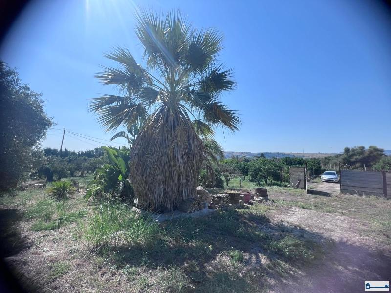 Immagine WhatsApp 2025-07-23 ore 17.39.12_adf965be.jpg